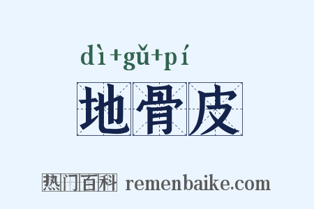 地骨皮是什么意思的图片